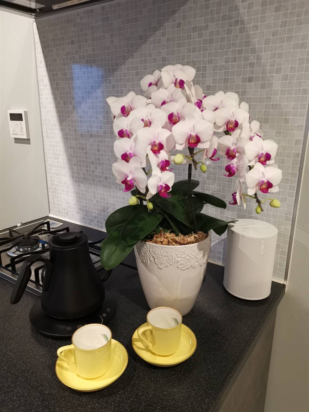 お茶をご用意してお迎えする応接